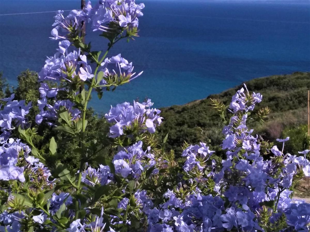 Kaminia Blu Βίλα Ρατζακλί Εξωτερικό φωτογραφία